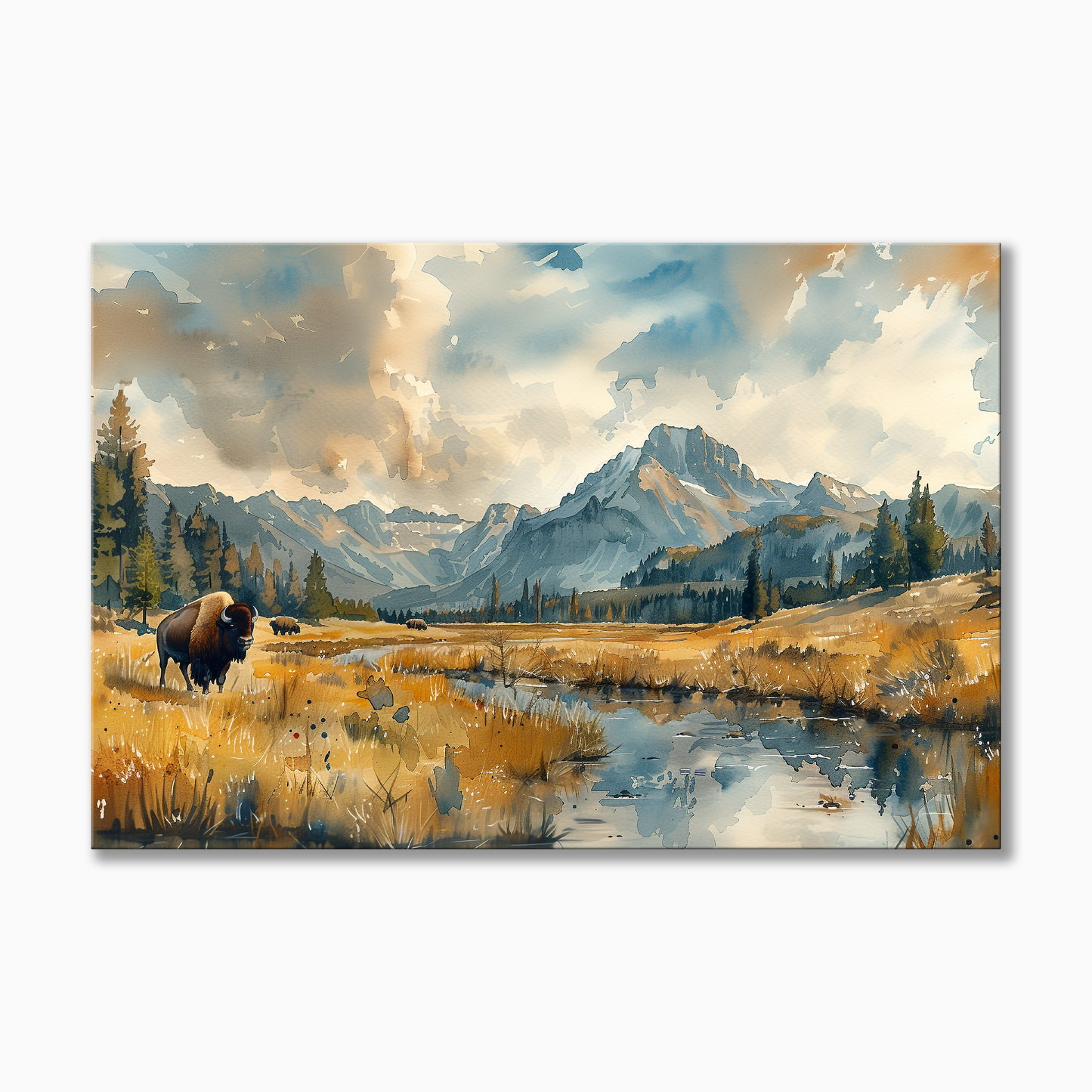 Yellowstone National Park