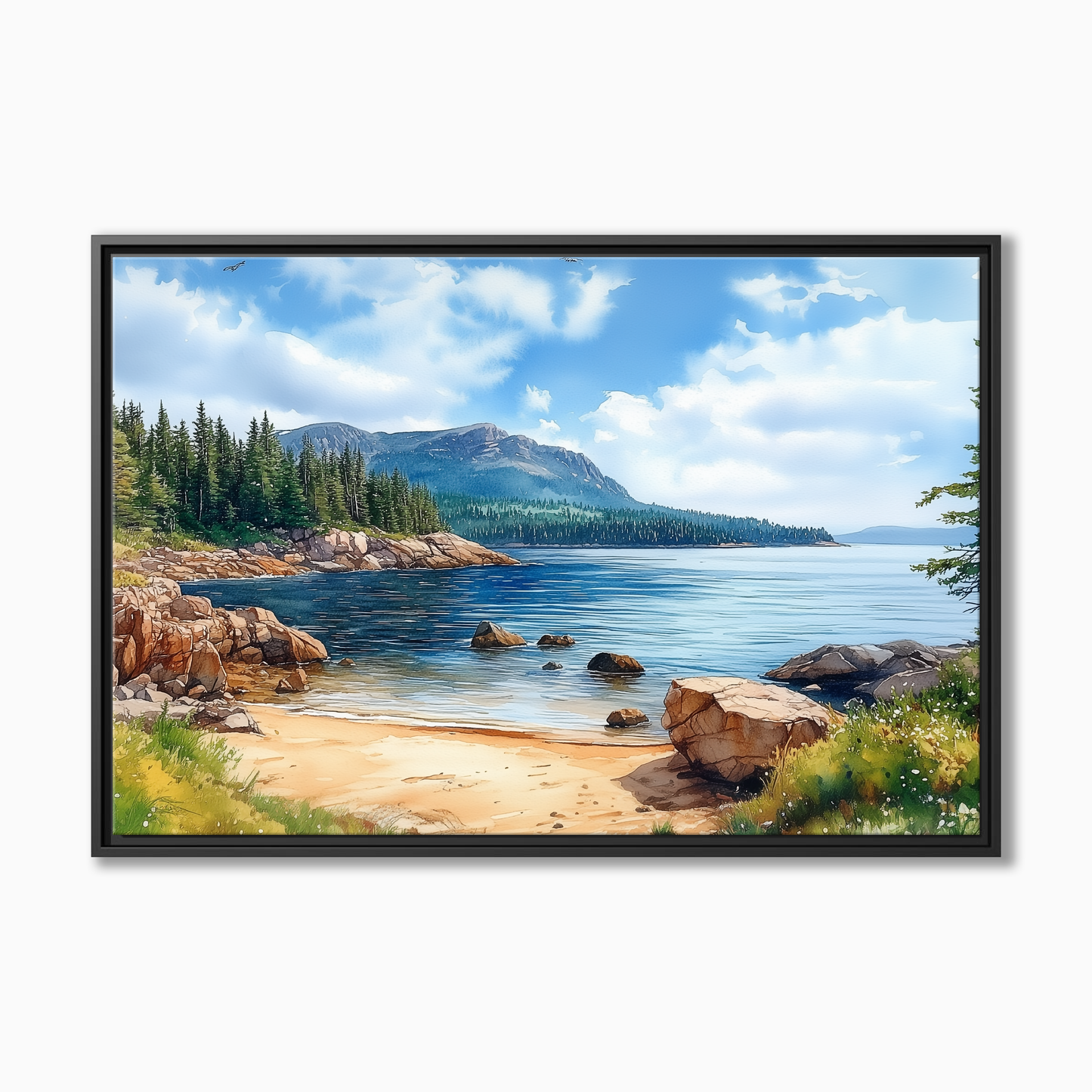Acadia National Park