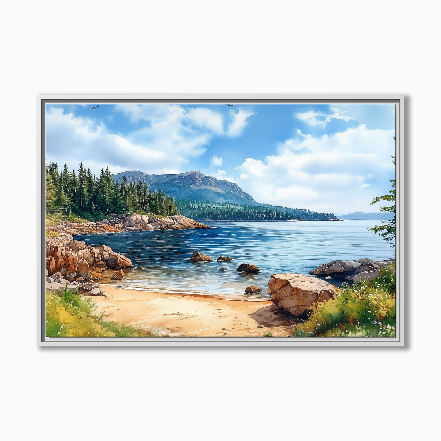Acadia National Park