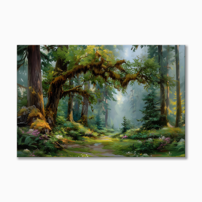 Hoh Rainforest Washington