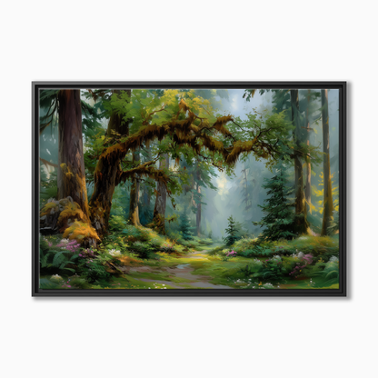 Hoh Rainforest Washington