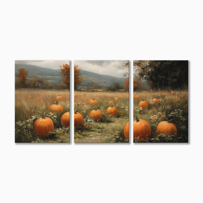 Pumpkin Patch
