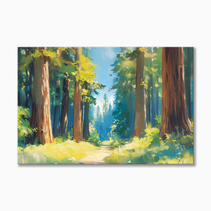 Redwood National Park